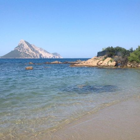 Case In Style 3 Βίλα Vaccileddi Εξωτερικό φωτογραφία